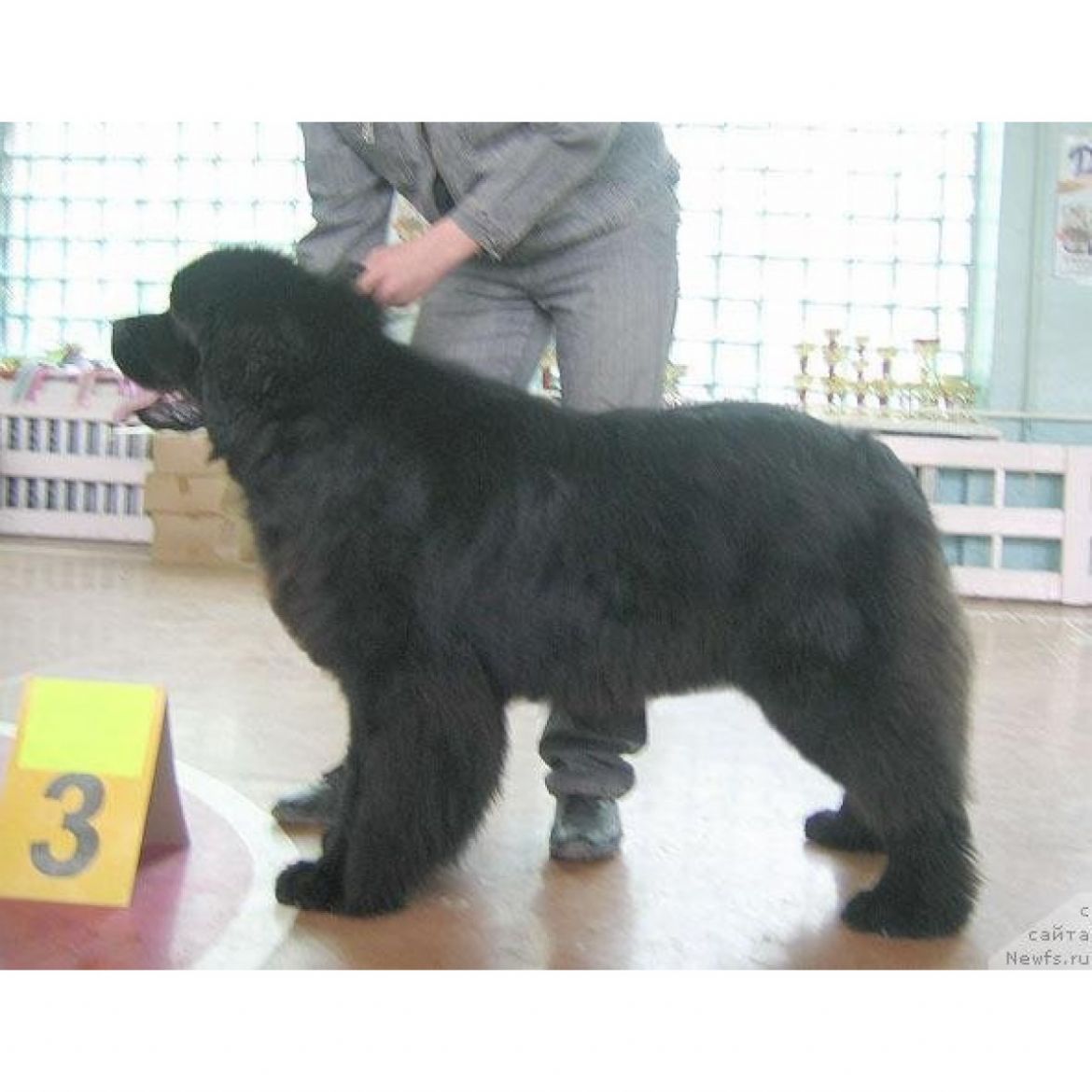 R Super Premium Berri Good Luck (18-05-2006)